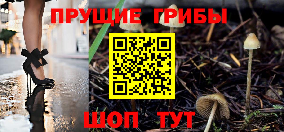 как найти закладки  Вход с VPN  Кисловодск  Галлюциногенные грибы Magic Shrooms  Псилоцибиновые грибы прущие грибы 